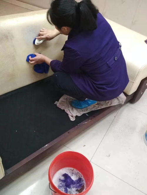 重慶專(zhuān)業(yè)清潔服務(wù) 日常保潔、開(kāi)荒保潔與高層外墻清洗全方位指南